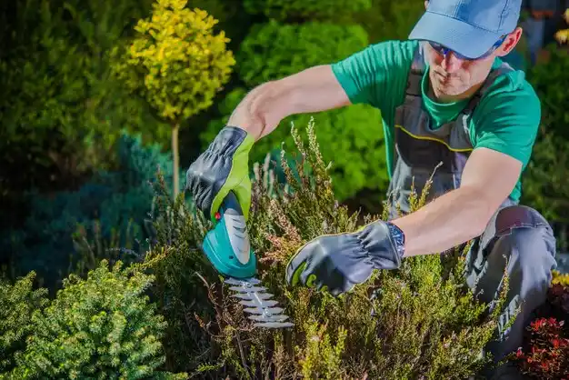 landscaping services Mineola